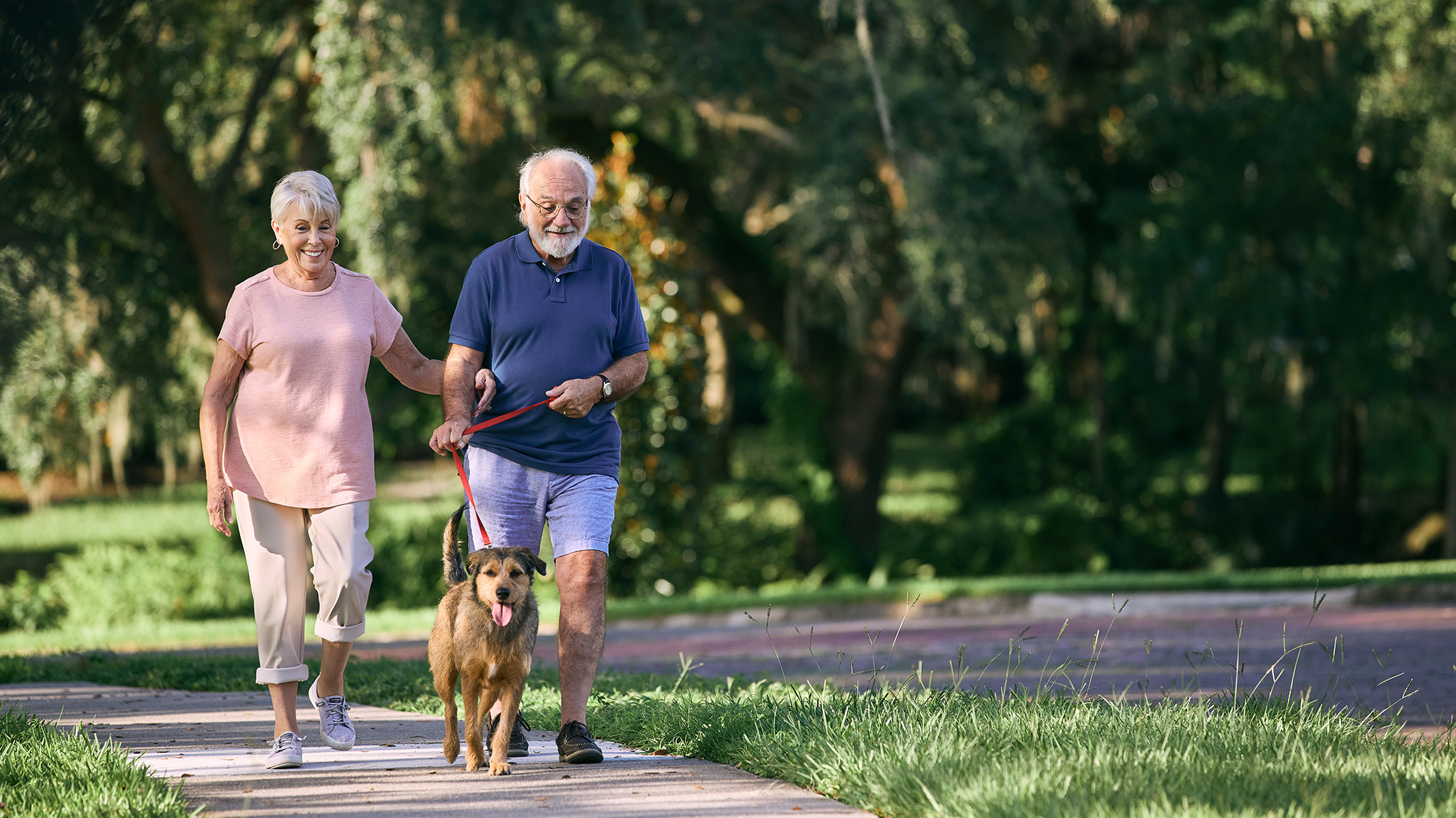 Senior couple walking a dog in the park.