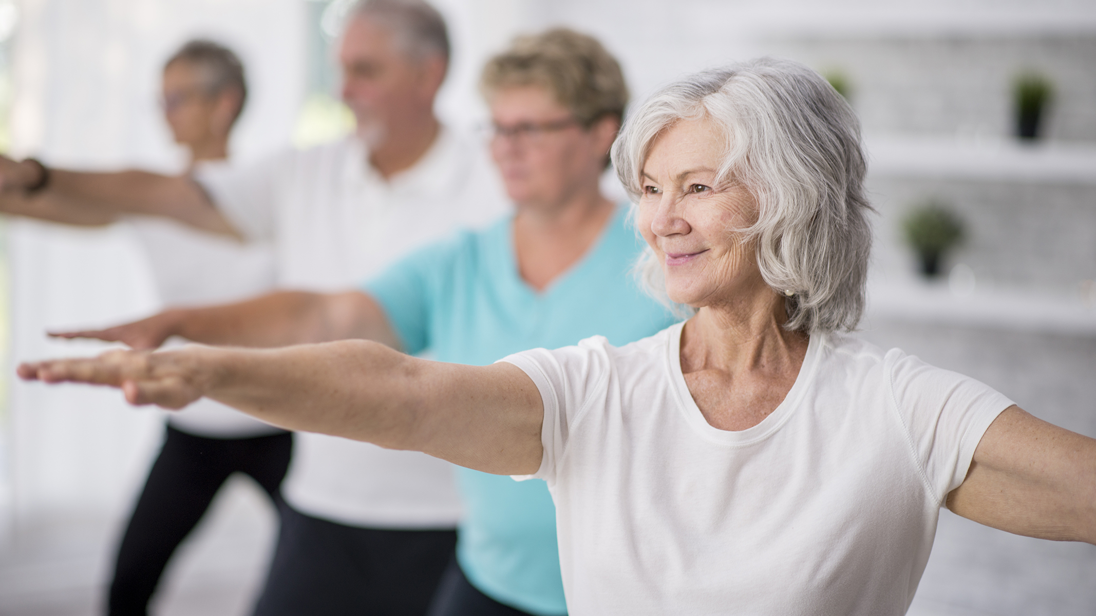 Group of seniors doing a fitness class